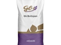 GB Bollopan