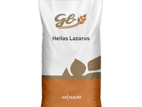 Hellas Lazarus 