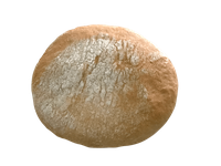 Hamburguesa Gallega Artesana 100g 50u