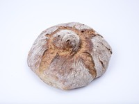 Moño Gallego 500g 20u
