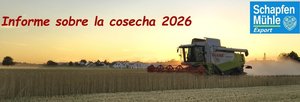 Collita Espelta 2026