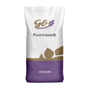 Pivot Comet B
