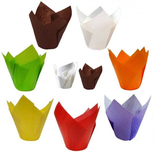 Petifour Tulipa