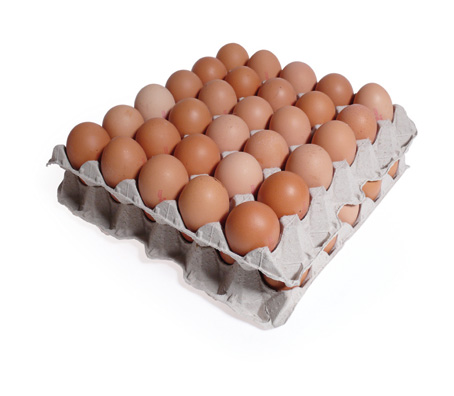 huevos frescos de Huevos